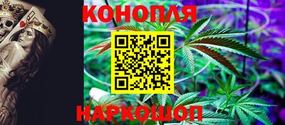 индика Тверь