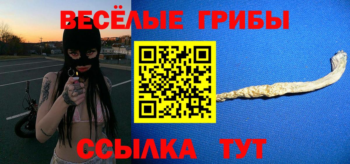 Галлюциногенные грибы Cubensis  Псилоцибиновые грибы Psilocybine cubensis  Нижневартовск  Вход с VPN 