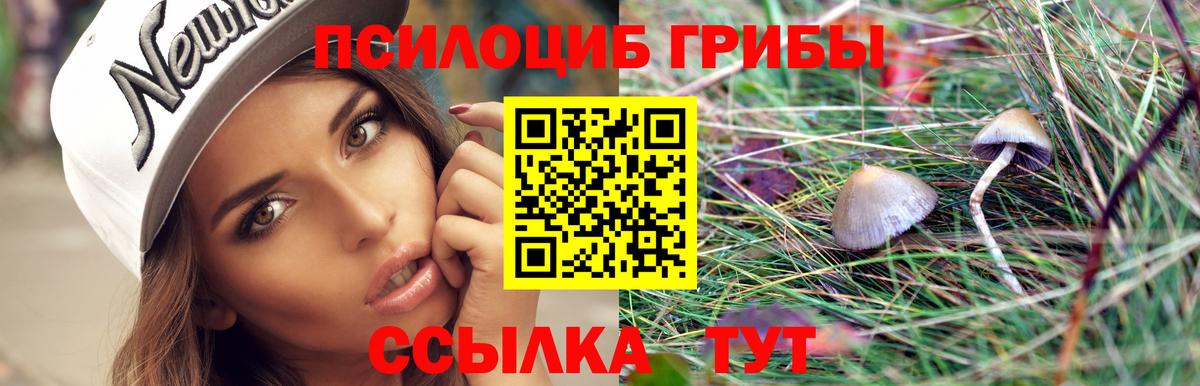 Псилоцибиновые грибы Psilocybine cubensis Нижневартовск